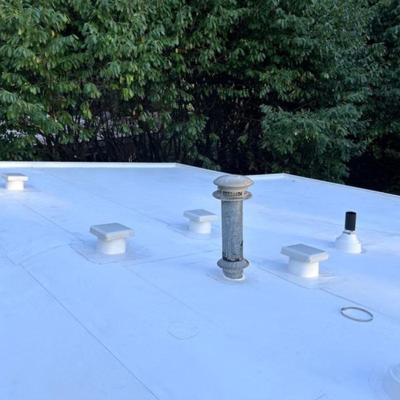 TPO membrane commercial roofing Kirkland WA